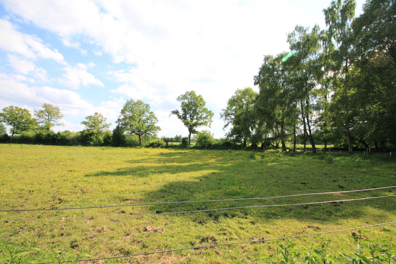 Groß Sarau: Traumgrundstück am Wasser  Groß Sarau: Traumgrundstück am Wasser