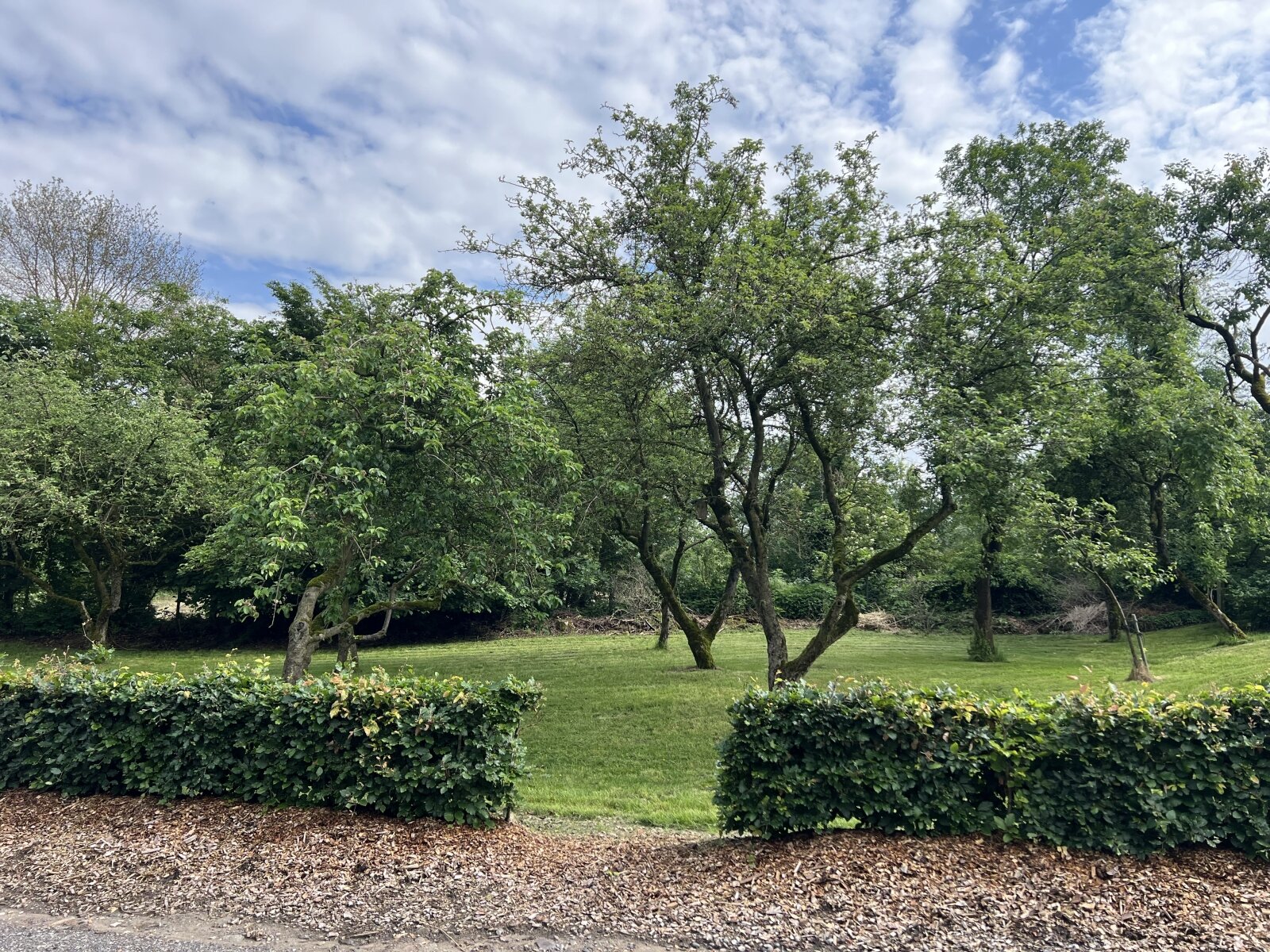 Bauernhof mit vielen Nutzungsmöglichkeiten