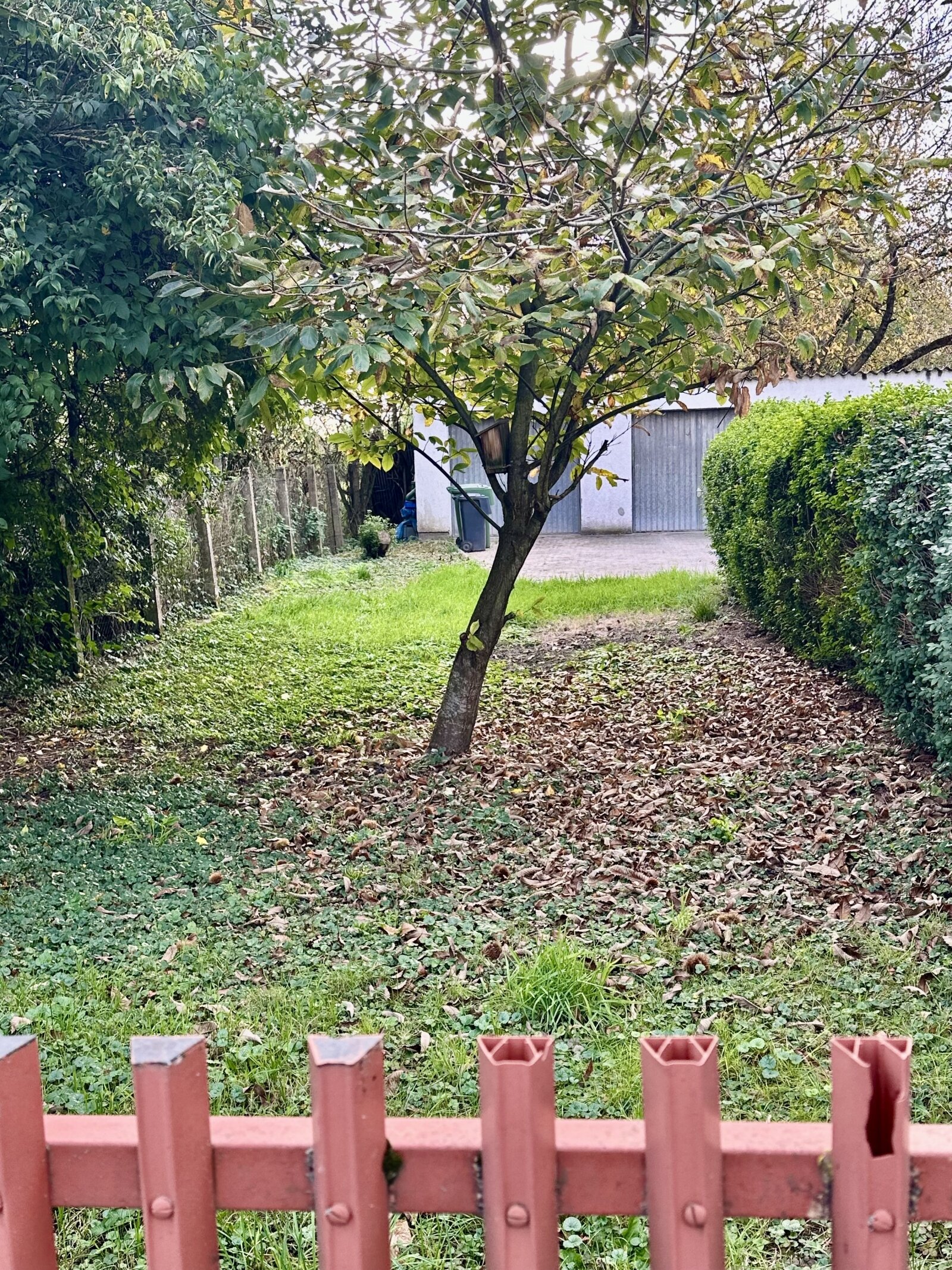 * Anlageobjekt oder* Familientraum!* 3000 m²* großes Grundstück/ Obstwiese mit sanierungsbedürftigen Haus /*2 Wohneinheiten