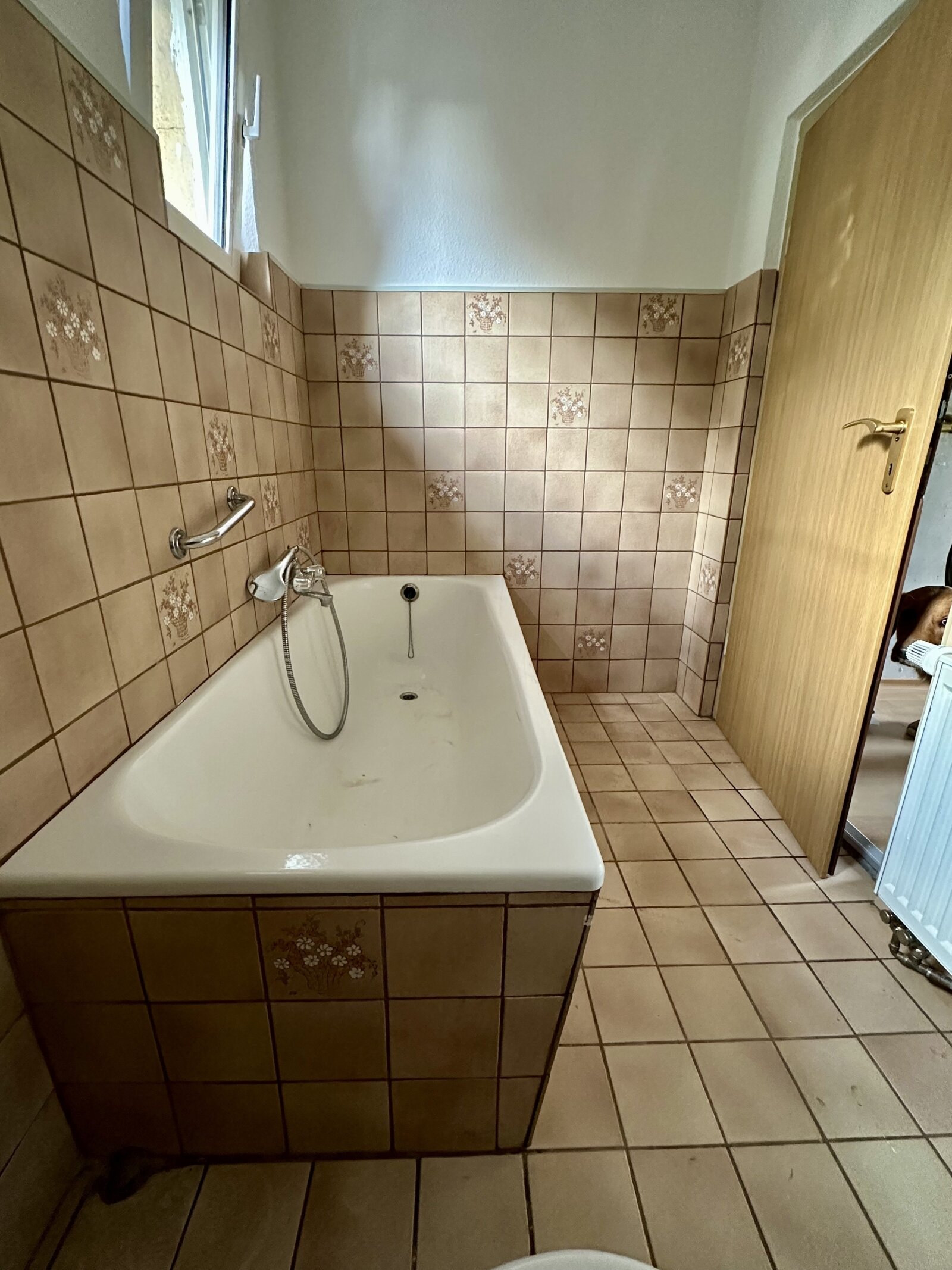 * Anlageobjekt oder* Familientraum!* 3000 m²* großes Grundstück/ Obstwiese mit sanierungsbedürftigen Haus /*2 Wohneinheiten