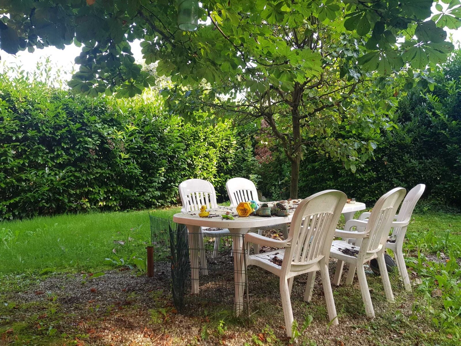 Fachwerk- *Bauernhaus auf 995m²  Grundstück mit  großer* Scheune 