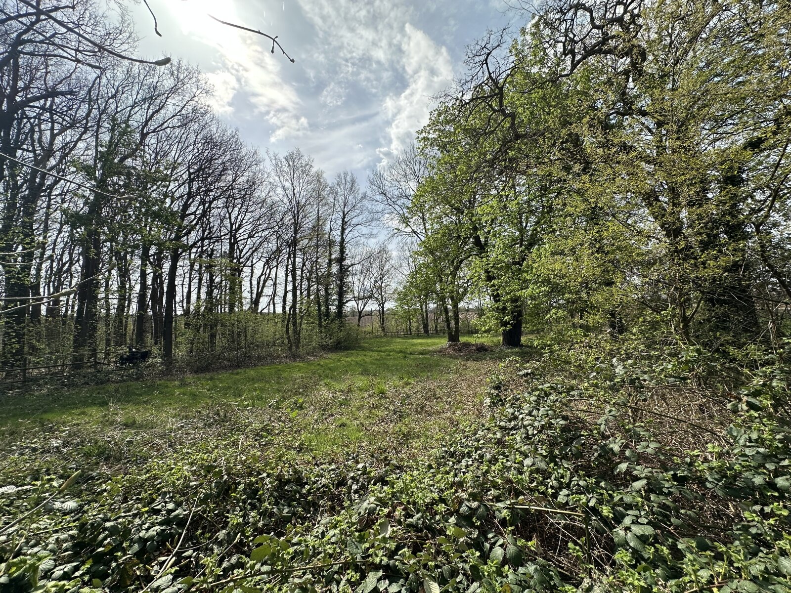 Sanierungsbedürftiges Einfamilienhaus  mit *Einliegerwohnung auf ca 8000 m²* Traumgrundstück