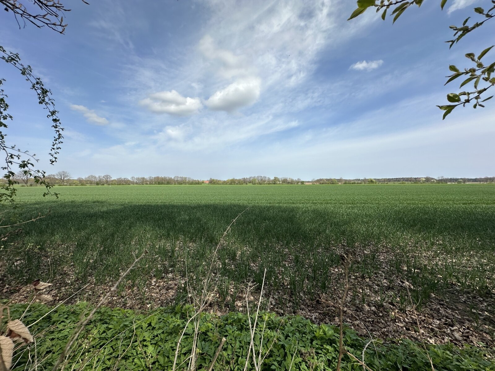Sanierungsbedürftiges Einfamilienhaus  mit *Einliegerwohnung auf ca 8000 m²* Traumgrundstück