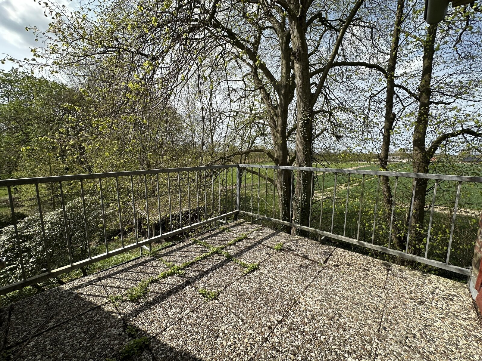 Sanierungsbedürftiges Einfamilienhaus  mit *Einliegerwohnung auf ca 8000 m²* Traumgrundstück