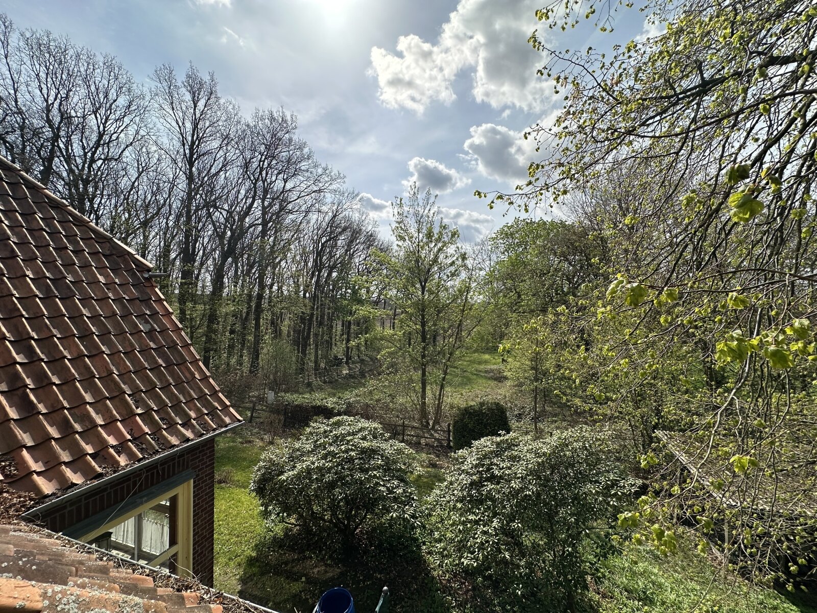 Sanierungsbedürftiges Einfamilienhaus  mit *Einliegerwohnung auf ca 8000 m²* Traumgrundstück