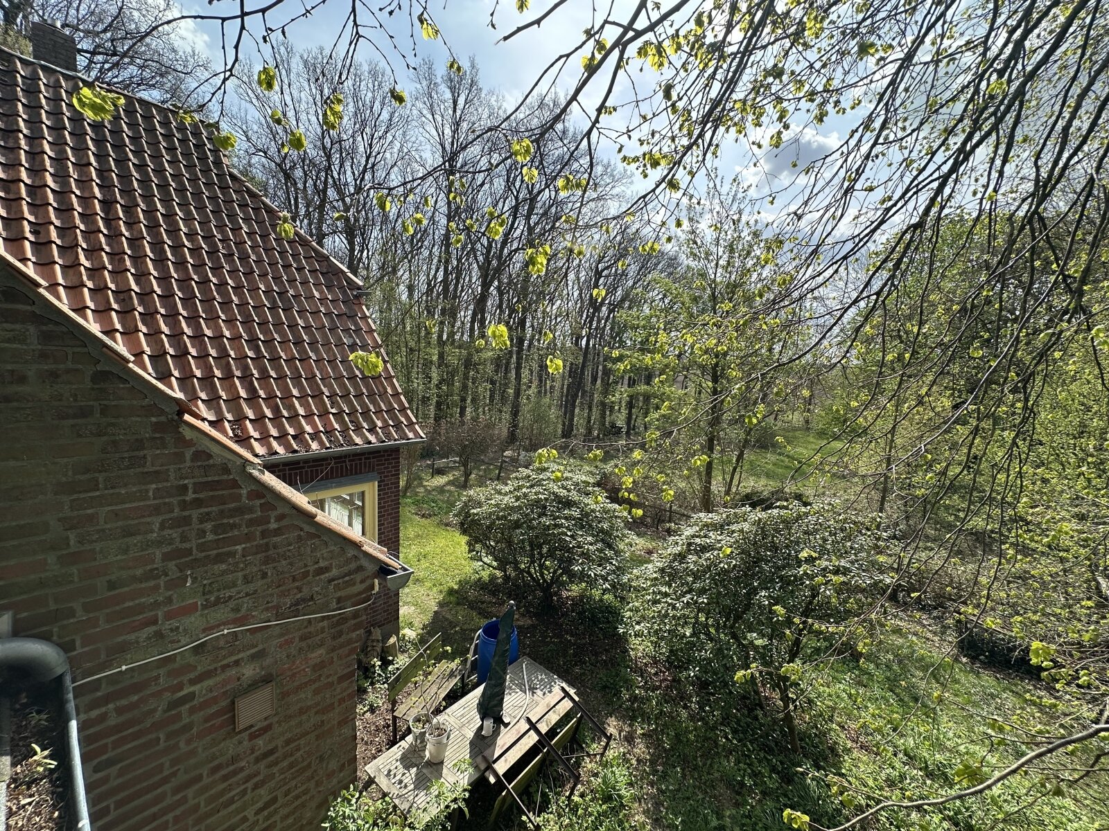 Sanierungsbedürftiges Einfamilienhaus  mit *Einliegerwohnung auf ca 8000 m²* Traumgrundstück