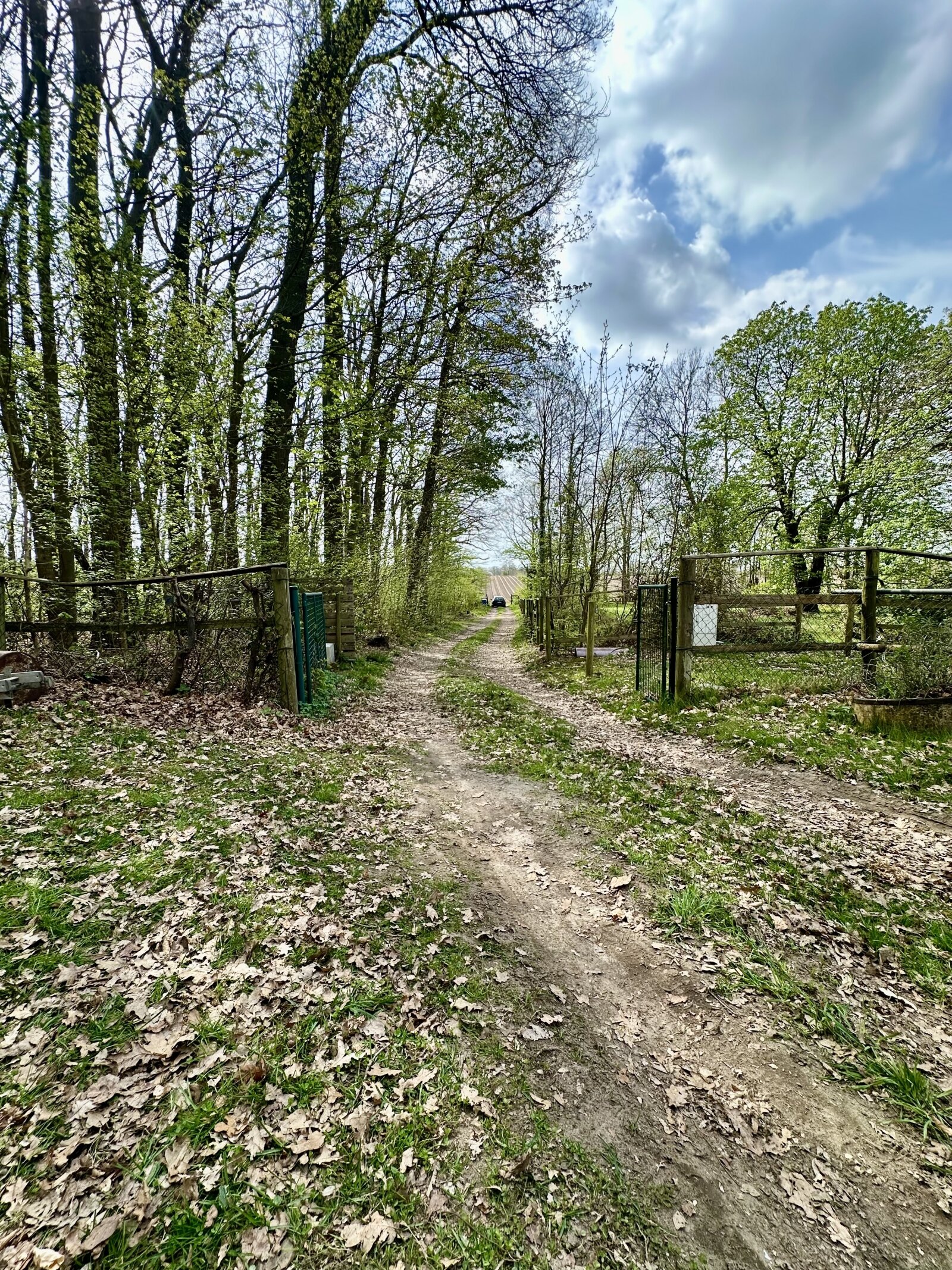Sanierungsbedürftiges Einfamilienhaus  mit *Einliegerwohnung auf ca 8000 m²* Traumgrundstück