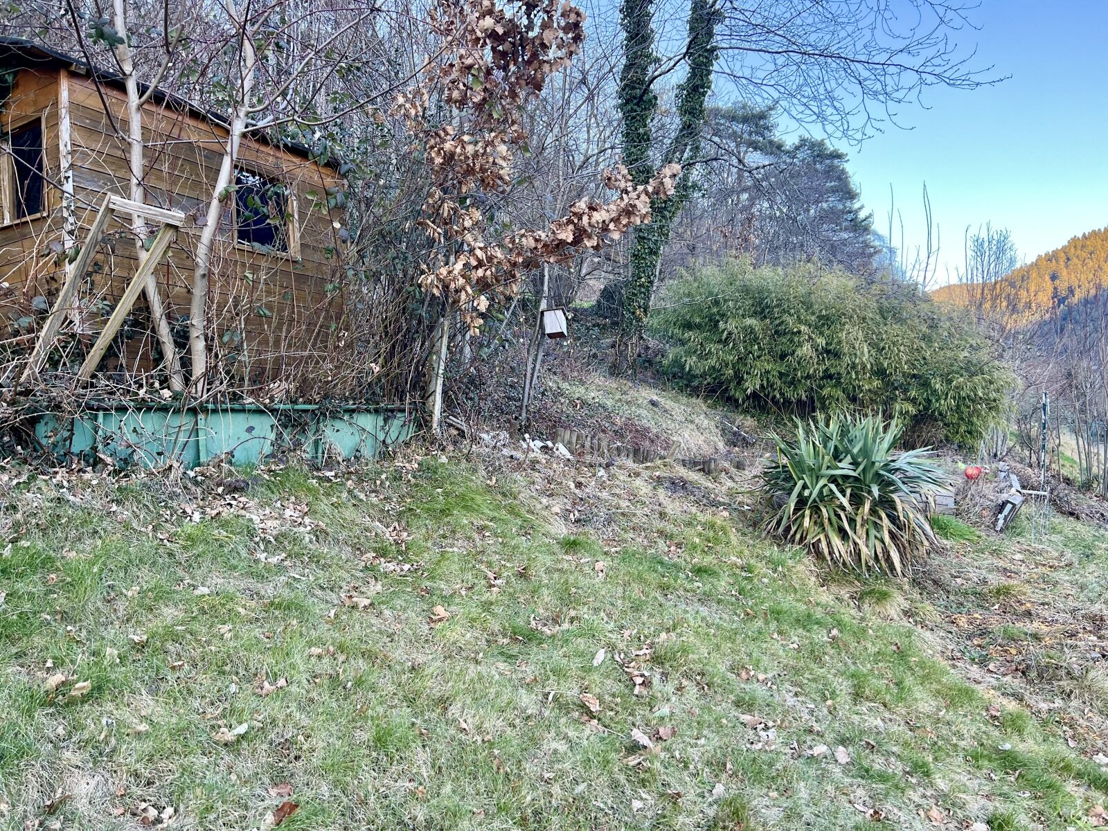 mit Sondernutzungsrecht nutzbarer Gartenanteil