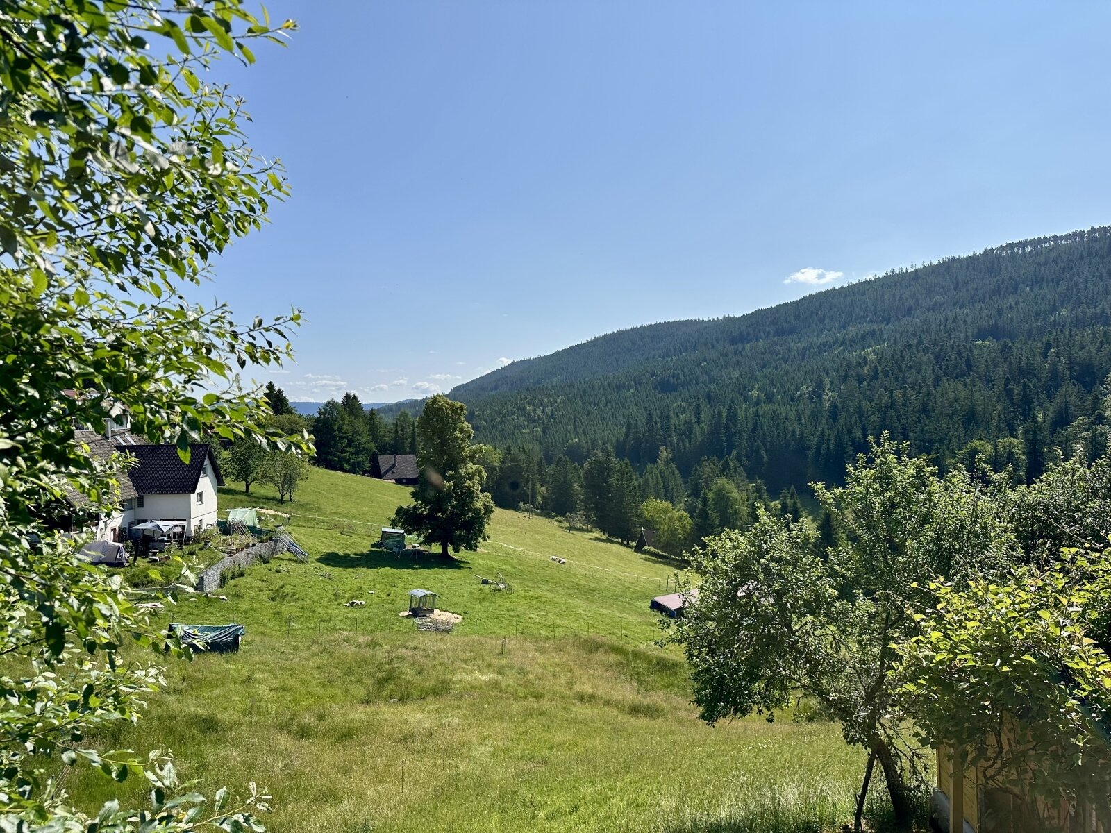 Aussicht ins Tal Aussicht ins Tal
