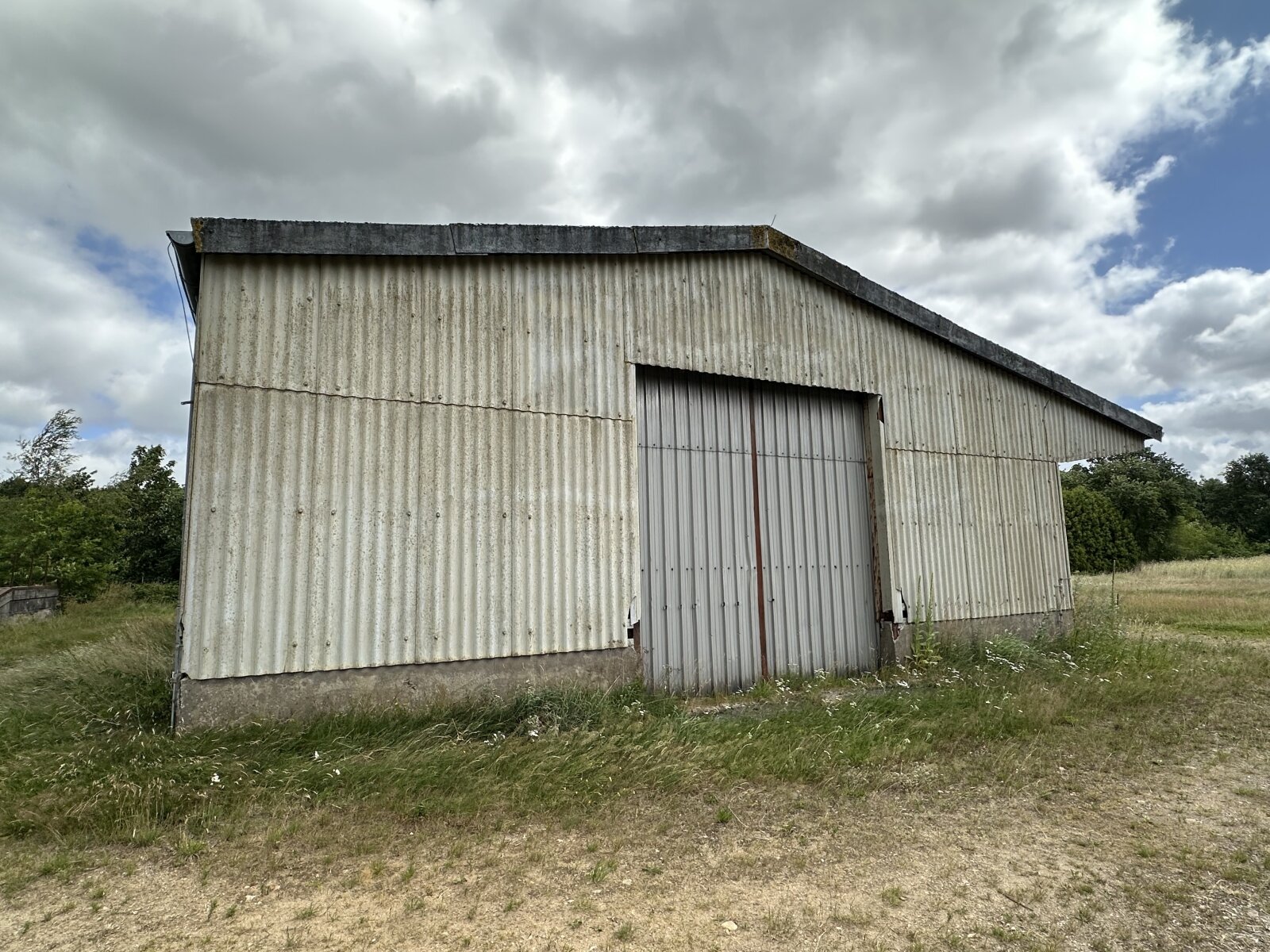 Halle 2